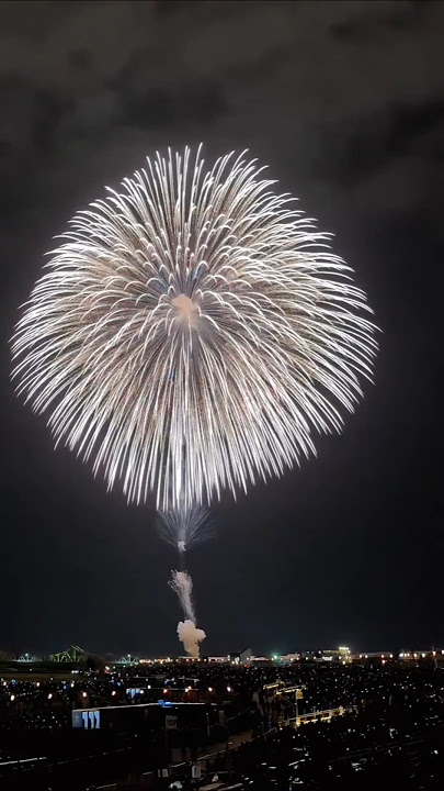 Kembang api paling keren saat tahun baru 2025 #fireworks #newyear #newyear2025 #shorts #tahunbaru