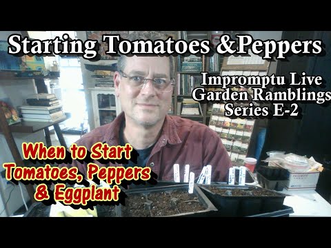 Seed Starting Indoors 101: Seed Starting Tomatoes, Peppers & Eggplant: Impromptu Live Ramblings E-2