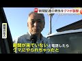 川泳ぎ熊がレジャー施設へ　規制解除の公園では4時間後に再び“熊”立ち入り規制　「手動ドア」に切り替える対策も　子熊の鳴き声は「危険サイン」　秋田