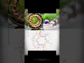 Untitled video