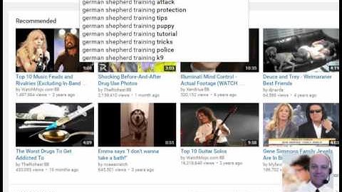 Youtube Content Siphon - Turn Videos into Thousands of Blog Posts