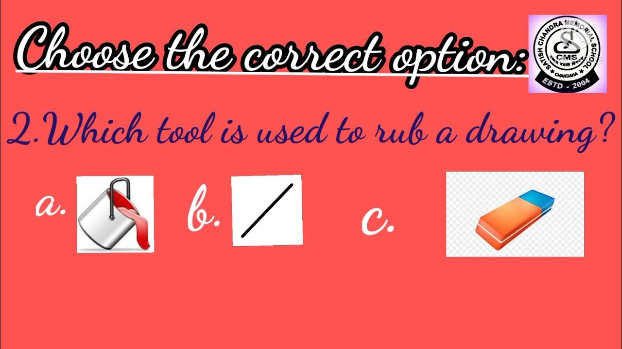 Computer 🖥 Paint 🎨 Mcq questions online class stdII YouTube