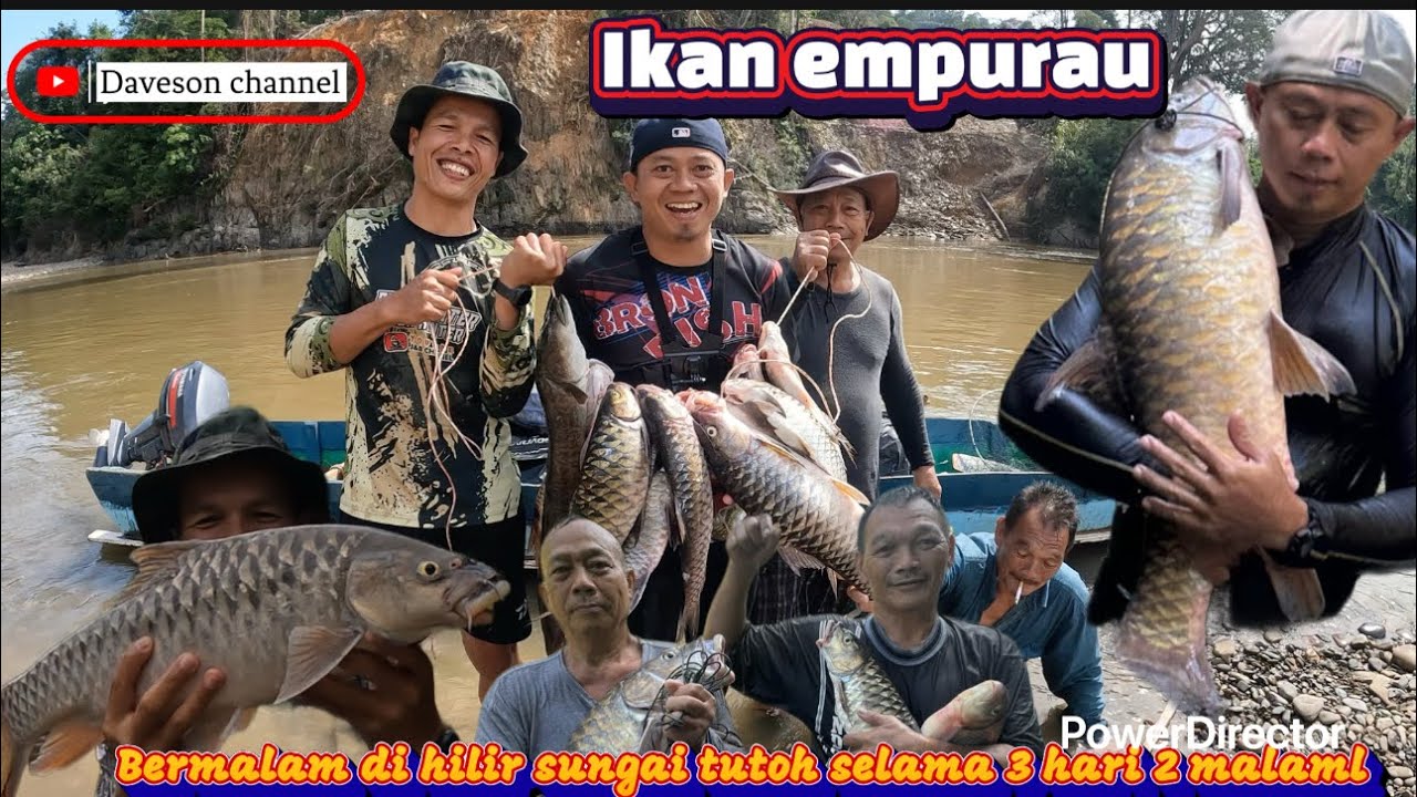 Misi mencari ikan empurau part 2 di sungai tutoh.