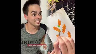 beluuynahuu.17 Recopilación de vídeos divertidos