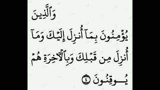 Quran translation in Punjabi para 1 surah 2 Al-Baqarah پنجابی زبان وچ قرآن مجید دا ترجمہ screenshot 5