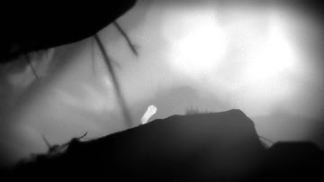 LIMBO spider   attack!!! Episode 2