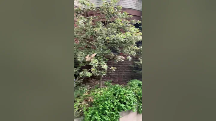 218 Bay Ridge Ave