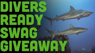 Sharks And Corals: Divers Ready! Giveaway