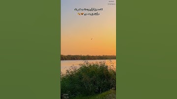 تلاوة هادئه تريح النفس - للشيخ عبدالرحمن مسعد @9li9 #عبدالرحمن_مسعد #قرآن #تلاوة_خاشعة #لايك