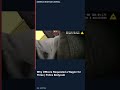 Why Officers Requested a Wagon for Three 🚨 Police Bodycam