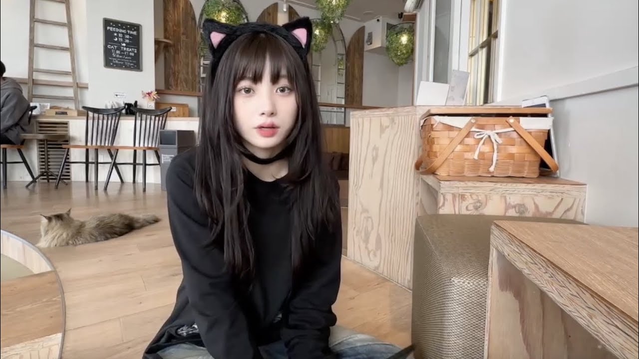 고양이 카페의 고양이가 되어보았습니다