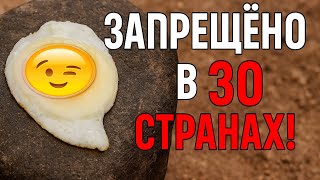 Я попробовал странный способ готовить яйца и вот что вышло!