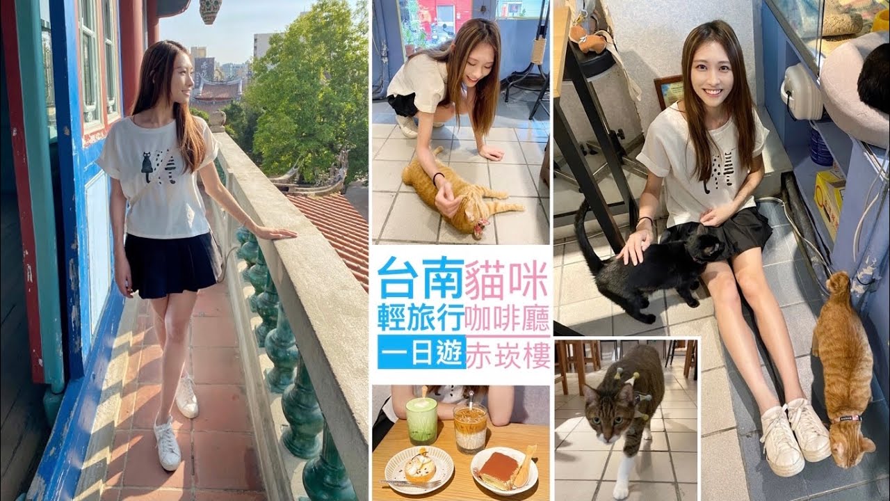 😋台南可愛貓咪咖啡廳😋吸完7隻超親人貓咪和好吃提拉米蘇再一起逛逛赤崁樓吧 (音量注意🥲)