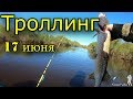 Троллинг щуки 17 июня 2018.  Отработали воблеры Rapala и аналог Strike Pro