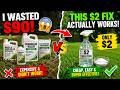 I Wasted $90 on Crabgrass Killer… Then Discovered the $2 Trick That Eliminated Crabgrass Fast! 🌱💰