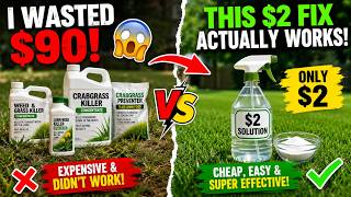 I Wasted $90 on Crabgrass Killer… Then Discovered the $2 Trick That Eliminated Crabgrass Fast! 🌱💰