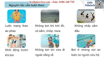 Giáo án powerpoint Bài 28: Phòng tránh đuối nước | GA điện tử Khoa học 4 CTST