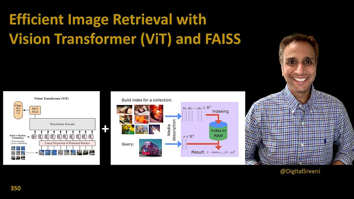 350 - Efficient Image Retrieval with Vision Transformer (ViT) and FAISS