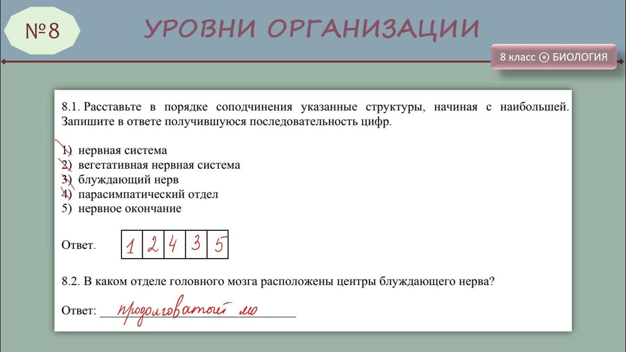 Демоверсия впр по биологии 8 класс концентрическая