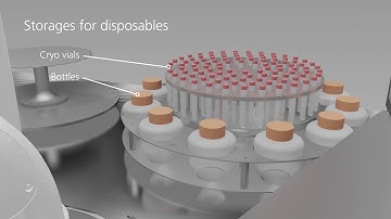 AUTOSTEM - Virtual tour of the fully automated pipeline