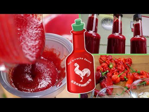 sriracha-sauce-recipe---chillichump-style