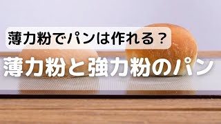 強力粉でパンは作れる？薄力粉と強力粉パン