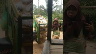 #shorts pedagang sayur keliling