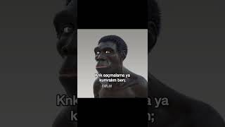 Kesin Öyledir Şfet Şfetbeniöneçıkar