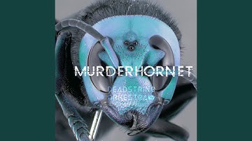 Thumbnail of Murderhornet