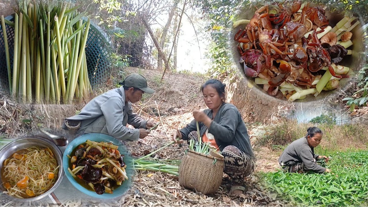 11 มีนาคม ค.ศ. 2026