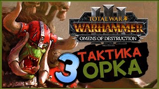 :      Total War Warhammer 3 Omens of Destruction -  3