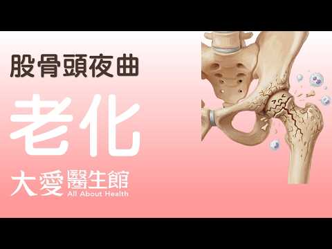 【大愛醫生館】 股骨頭夜曲 20261014