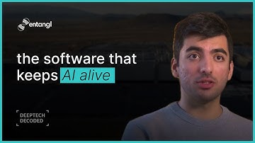 The AI Software Preventing Million-Dollar Failures | Shapol M., Entangl (YC S24)