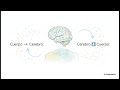 El Diálogo Cerebro Cuerpo