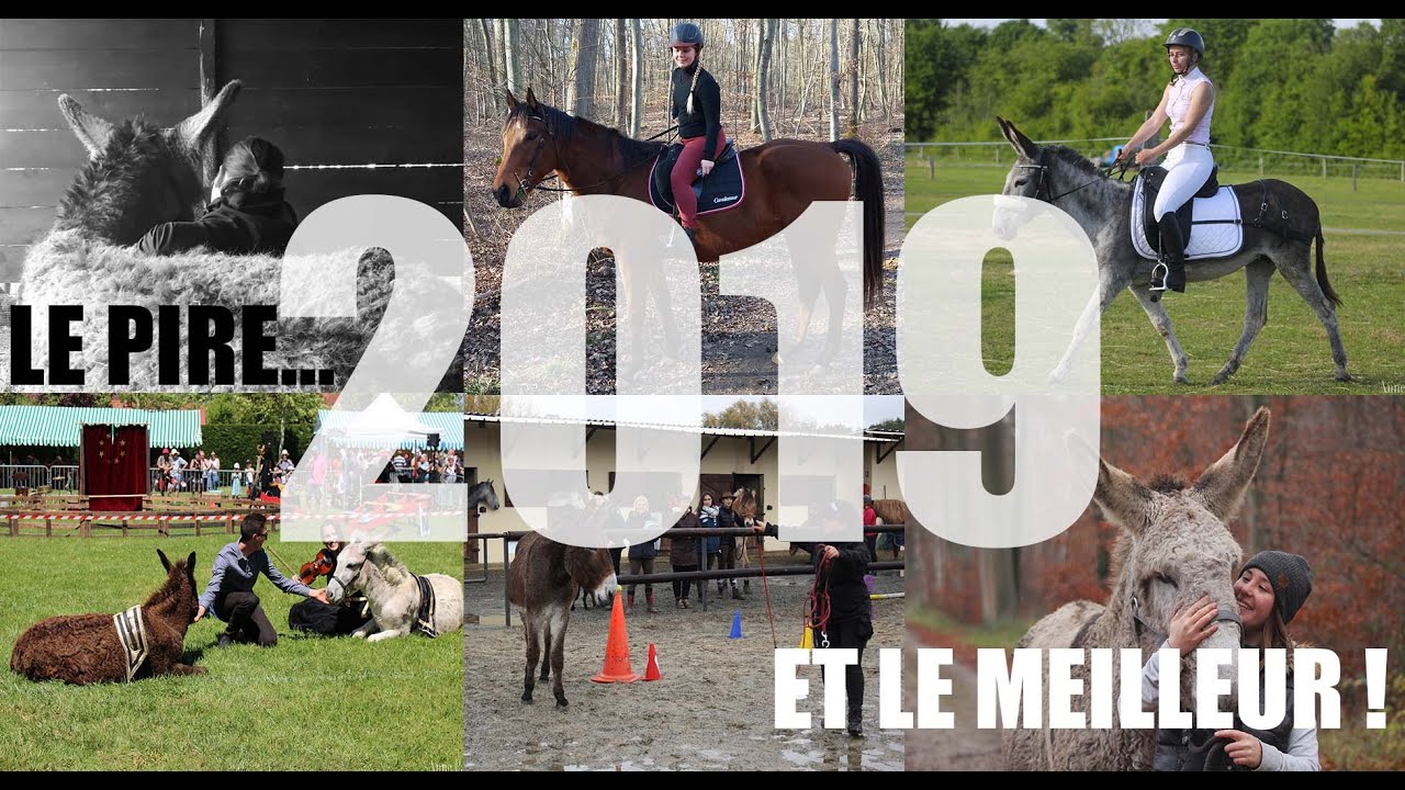BEST OF | Retour sur notre année 2019 !