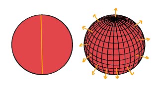 The Kakeya Conjecture || Junior Breakthrough Challenge