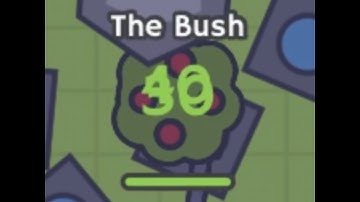 MooMooio i.o Montage (Bush Rampage + 1v1s)