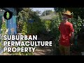 Family Transforms Tiny Suburban Backyard into Thriving Permaculture Gardens – Abdallah House Tour