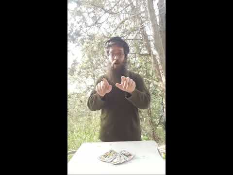 Open Zoomed Related Entry Tarot Jasidí: un viaje semántico forzoso, hasta...