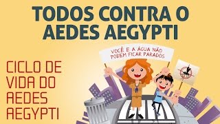 Ciclo De Vida Do Aedes Aegypti - Livro Todos Contra O Aedes Aegypti