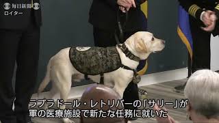 故ブッシュ元大統領の介助犬サリー、軍医療施設で新たな任務