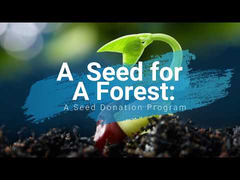 A Seed For A Forest: A Seed Collection Program