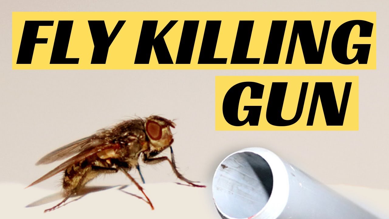 Fly Killing Gun YouTube