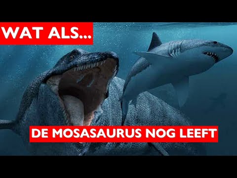 Video: Leeft mosasaurus nog?