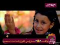 مطرة حنان الطرايرة بدون موسيقى كراميش بلس ٢٠١٢