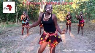 Africa2U: A Traditional Zambian Dance (East)