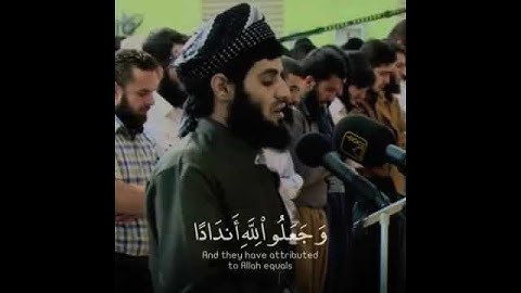 تلاوة خاشعة يتحرك لها قلبك للقارئ رعد الکردي سورة إبراهيم راحة النفسية.