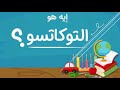 تعالوا نعرف إيه هو التوكاتسو مع الأستاذة نهى أحمد العوضي تعالوا نعرف إيه هو التوكاتسو مع الأستاذة نهى أحمد العوضي