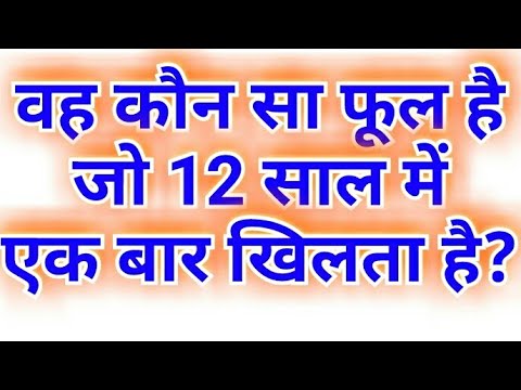 वीडियो: कौन सा पौधा जीवन में एक बार खिलता है