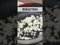 【キユーピー マヨネーズ発売100周年企画】おつまみにも!シーフードチーズ春巻き #shorts